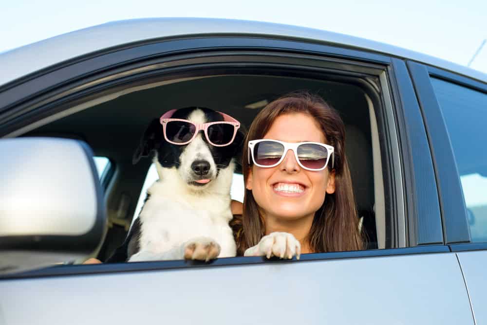 chien et femme portant des lunettes de soleil
